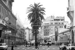 Image du Maroc Professionnelle de  Le boulevard Mohammed V (ex la gare). A droite le marché central de Casablanca figé depuis les années 30, il dispose de 3 entrées faisant face à l'hôtel Lincoln (immeuble Bossonneau) un des premiers bâtiment de 4 niveaux du boulevard de la gare (actuel boulevard Mohammed V) est abandonné aux intempéries depuis plusieurs années, un échafaudage est en cours d'installation contre la façade. Petit à petit L’hôtel Lincoln quitte ce monde. Construit par des matériaux poreux et sans étanchéité au début du 20e siècle. Déjà en 1989 suite aux accidents qui ont causé des morts et plusieurs blessés, le bâtiment a été vidé avec cessation de toute activités des commerces et cafés. Dimanche 11 Février 2007. (Photo / Abdeljalil Bounhar) 